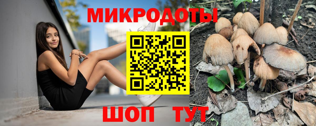 Псилоцибиновые грибы MAGIC MUSHROOMS  Псилоцибиновые грибы Psilocybe  Вход с VPN  Обь 